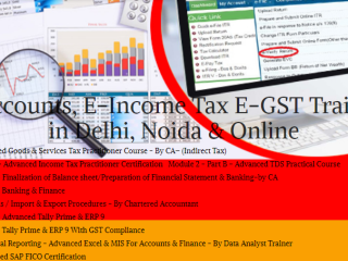 is-an-accounting-course-worth-it-in-2025-job-market-insights-100-job-accounting-course-in-delhi