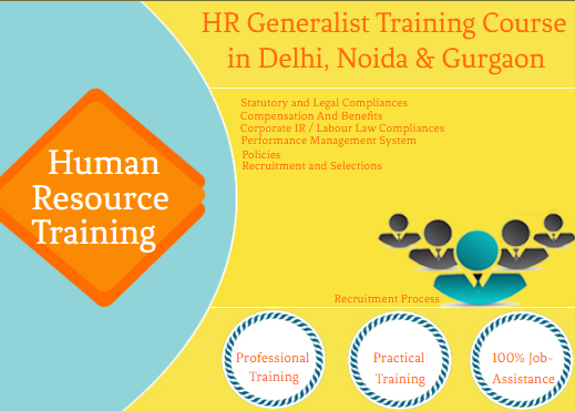 job-oriented-hr-course-in-delhi-free-advanced-sap-hr-course-in-delhi-100-job-guarantee-course-by-sla-consultants-big-0