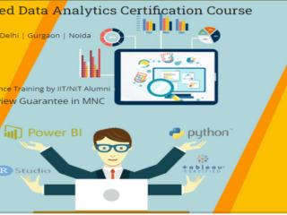 mnc-approved-data-analyst-course-in-delhi-independence-day-offer-till-15-aug-by-sla-consultants-india