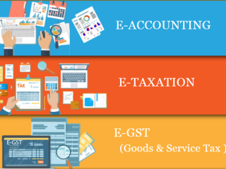 accounting-course-in-delhi-job-oriented-gst-and-custom-course-in-delhi-100-job-guarantee-course-by-sla-consultants