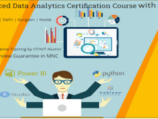 hands-on-data-analyst-course-in-noida-with-ai-for-career-success-upskills-with-ai-for-2026-by-sla-consultants-india
