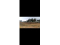 commercial-land-for-sale-on-nh7-chennai-to-bengaluru-6-lane-highway-small-3