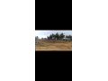 commercial-land-for-sale-on-nh7-chennai-to-bengaluru-6-lane-highway-small-5