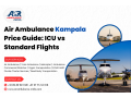 air-ambulance-kampala-price-guide-icu-vs-standard-flights-small-0